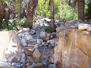 Water Feature